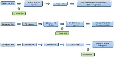 Examining the Complex Relationship Between Tuberculosis and Other Infectious Diseases in Children